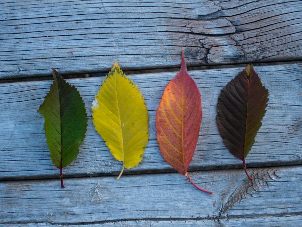 Full-Time RV Living: How to Stay Comfortable Through All&nbsp;Seasons